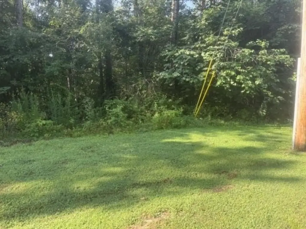 Picture 28