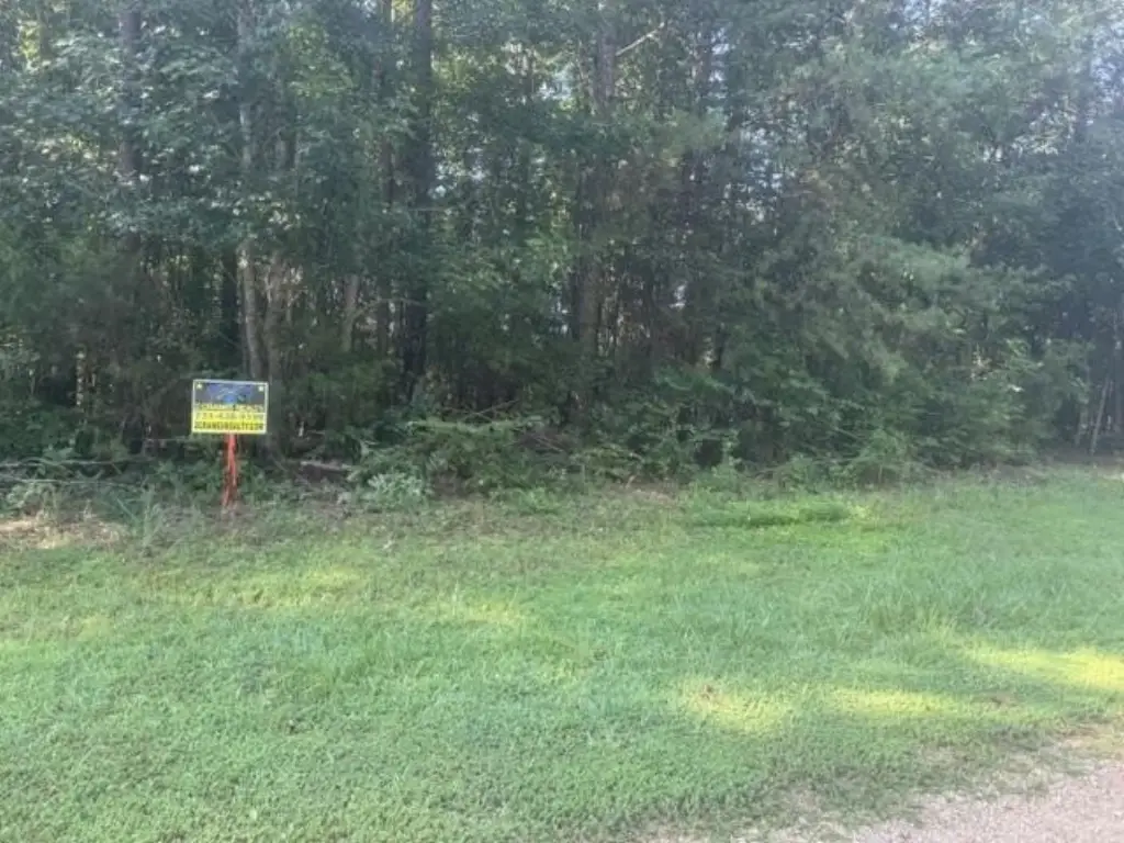 Picture 20