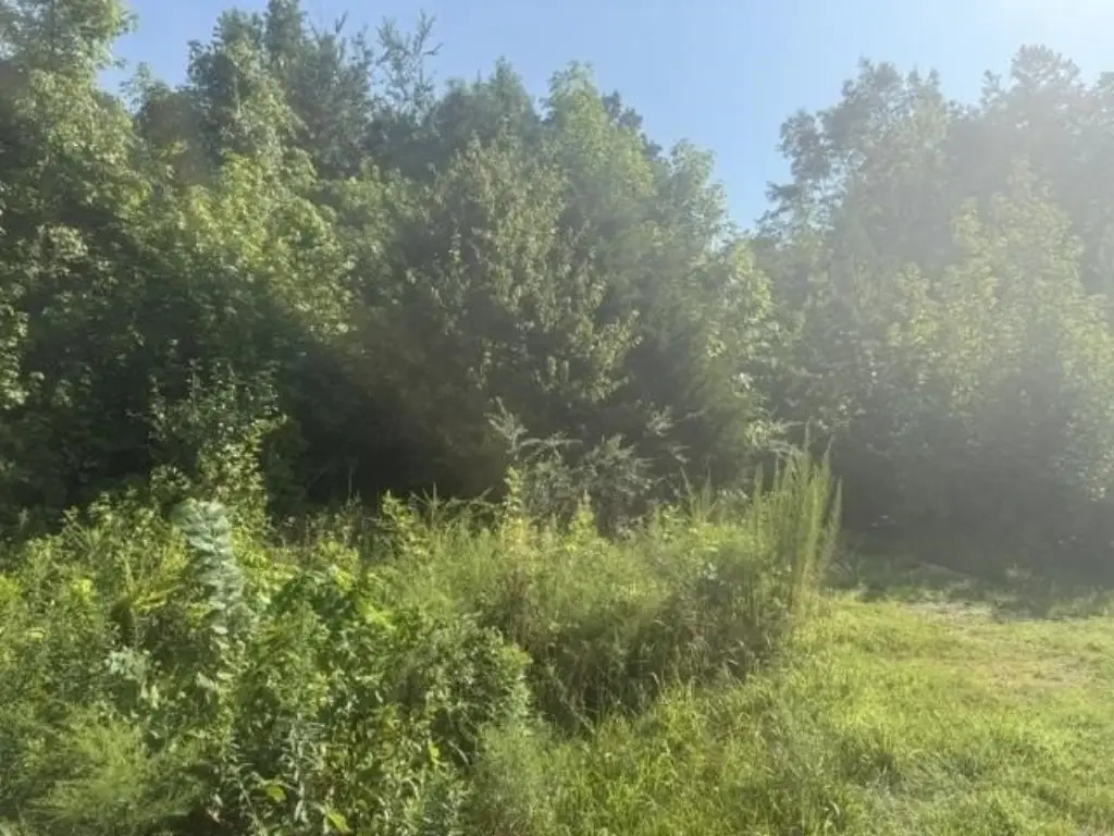 Picture 11