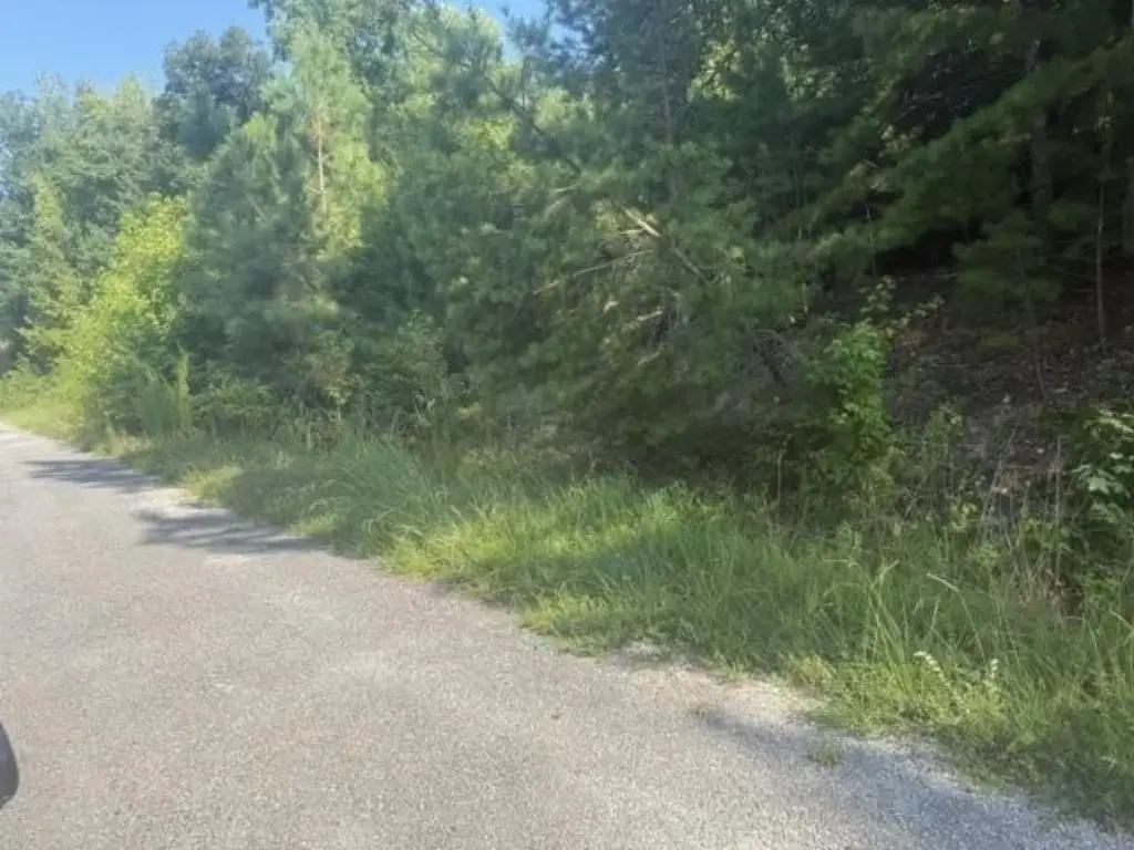 Picture 19
