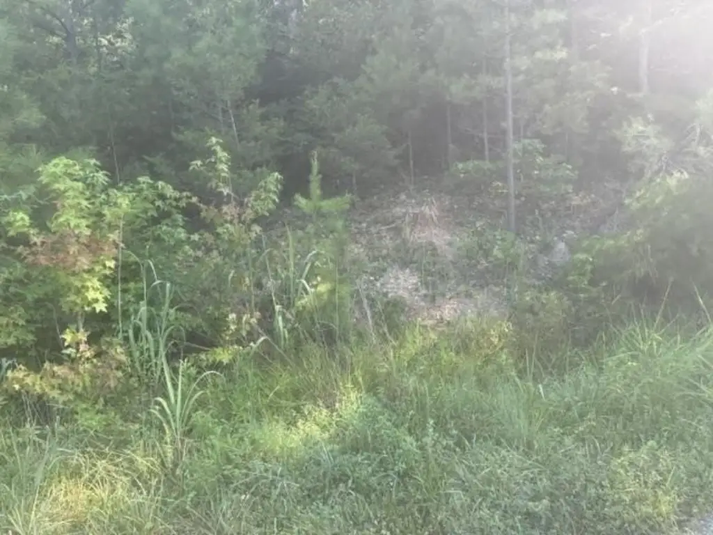 Picture 17