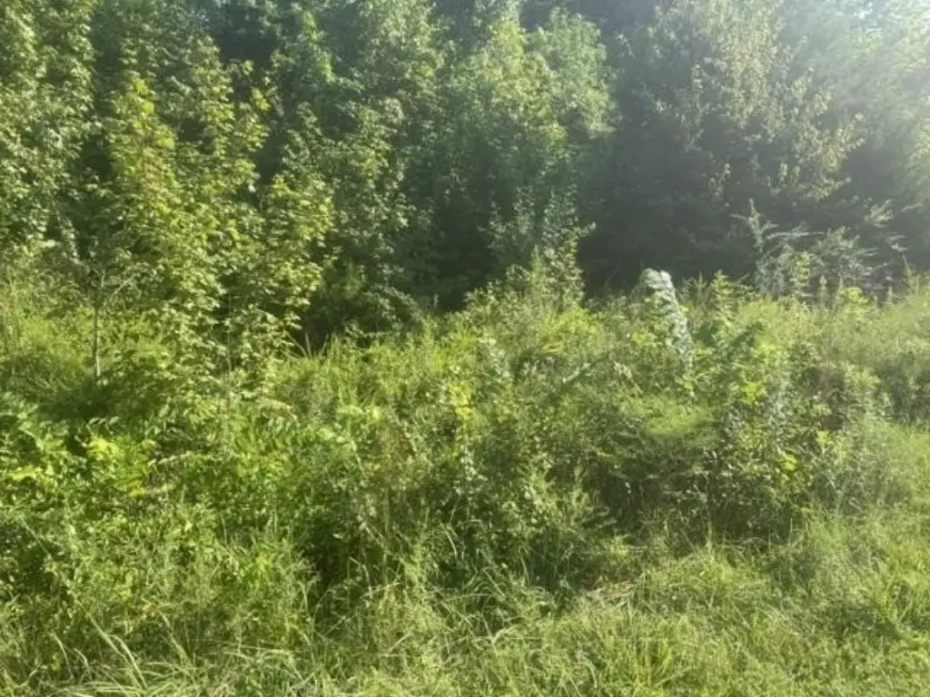 Picture 10
