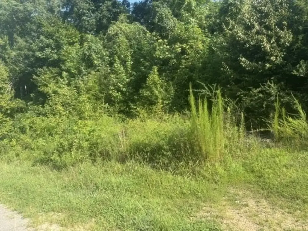 Picture 13