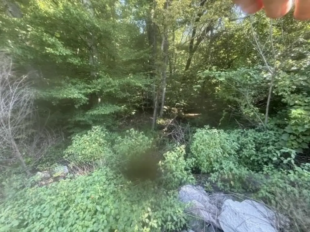 Picture 8