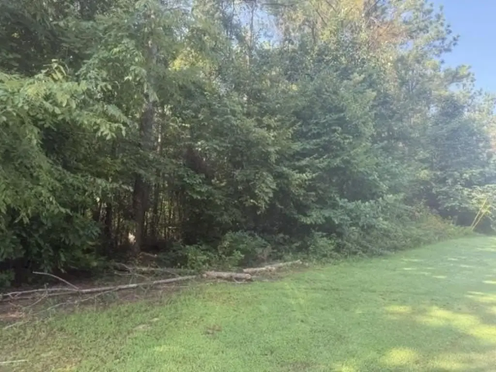Picture 26