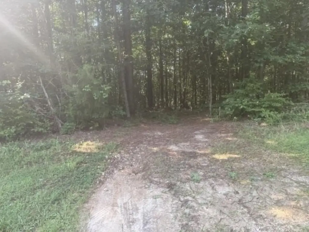 Picture 23