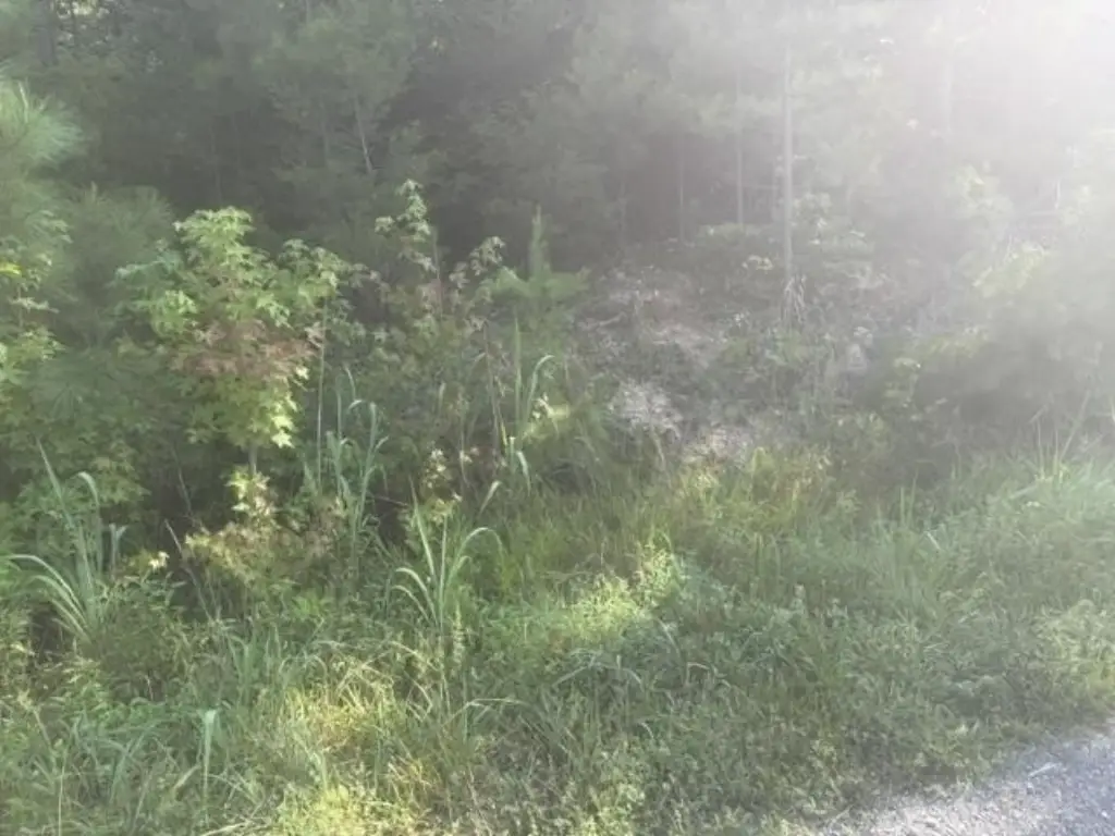 Picture 16