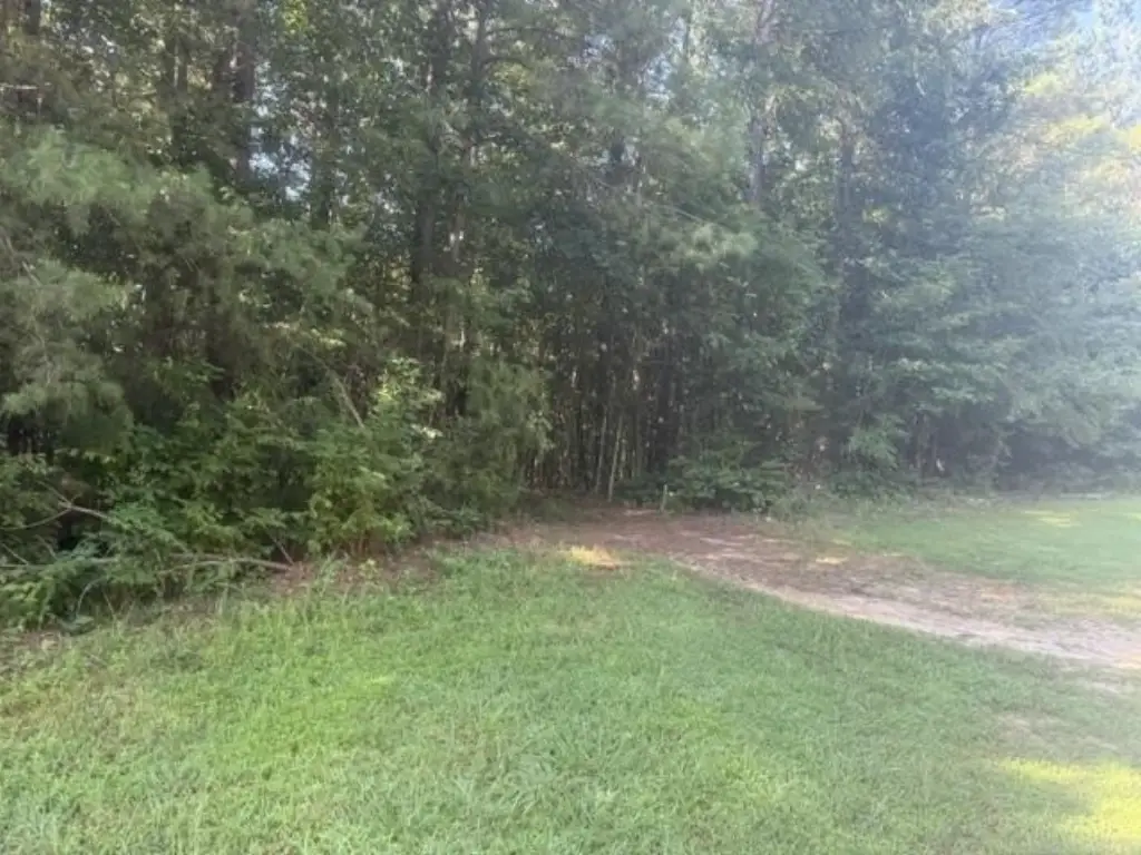 Picture 21