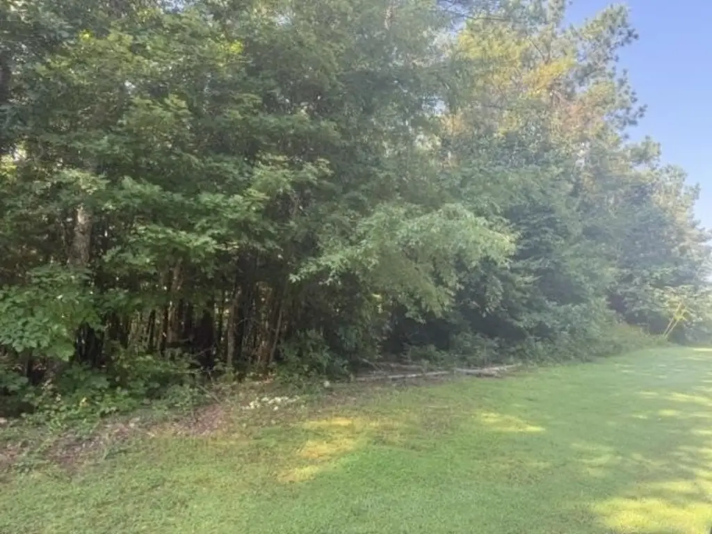 Picture 24