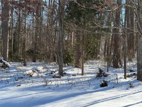 Davidson, NC Homesite Opportunity