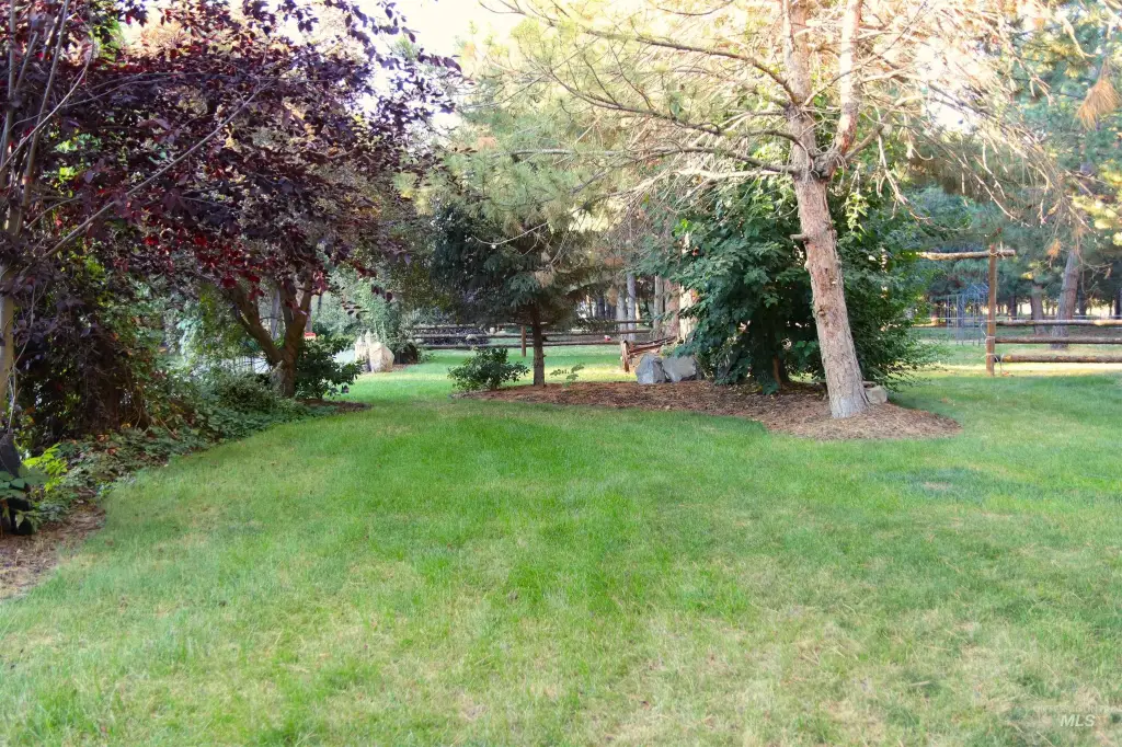 Picture 23