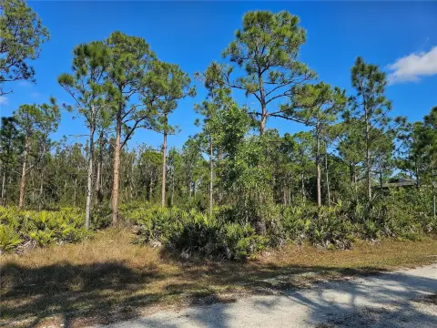 Residential Lot in Punta Gorda