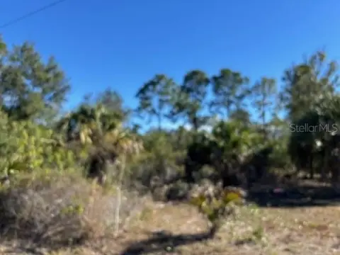 Punta Gorda Land For Sale
