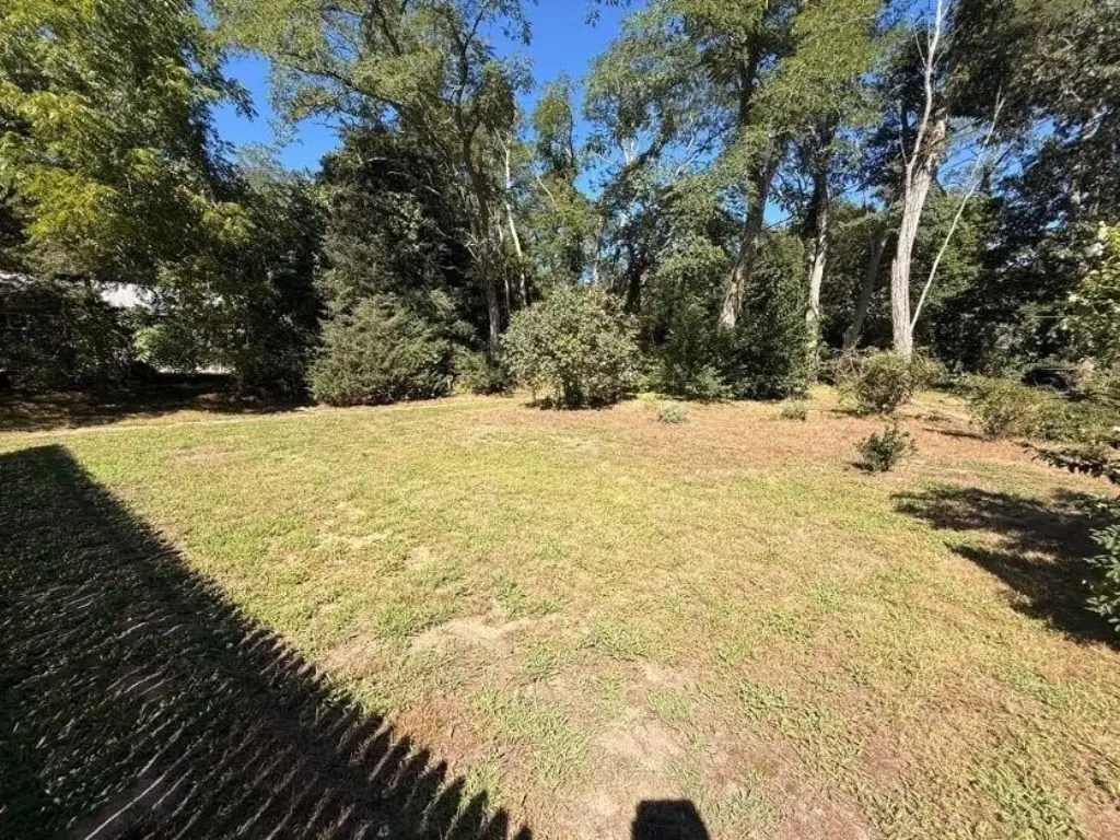 Picture 19