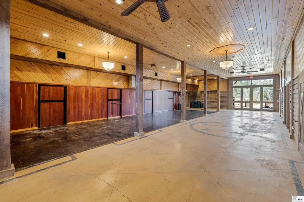 Picture 15