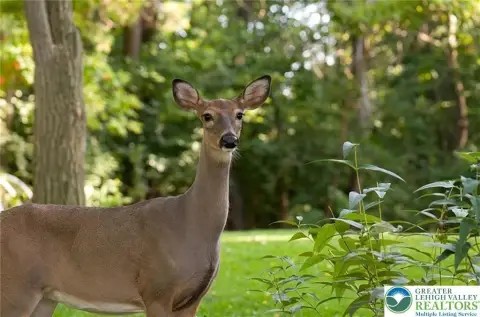 Land in Penn Forest Township