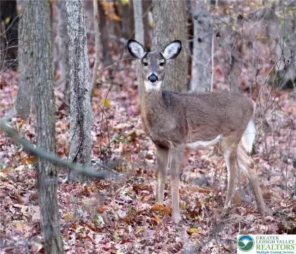 Land in Emerald Lakes Subdivision
