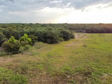 10-Acre Residential Land in Hubbard, TX