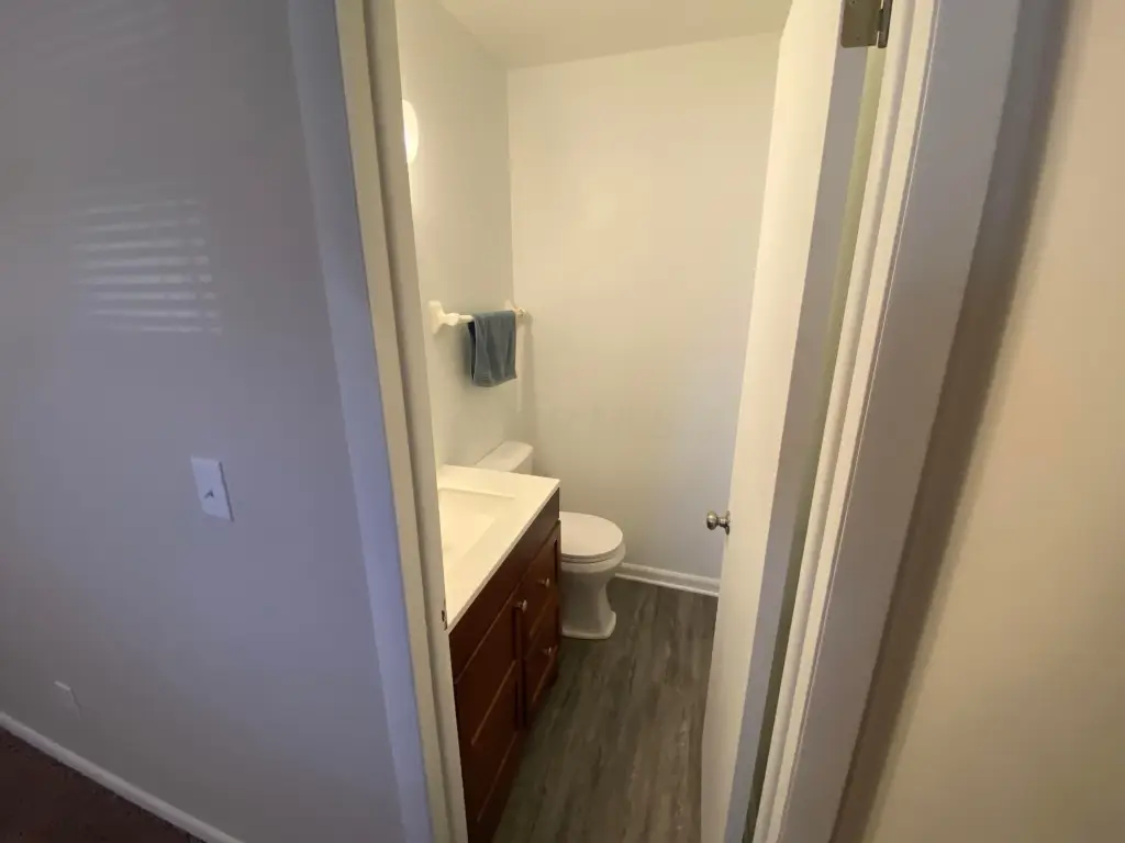 Picture 19