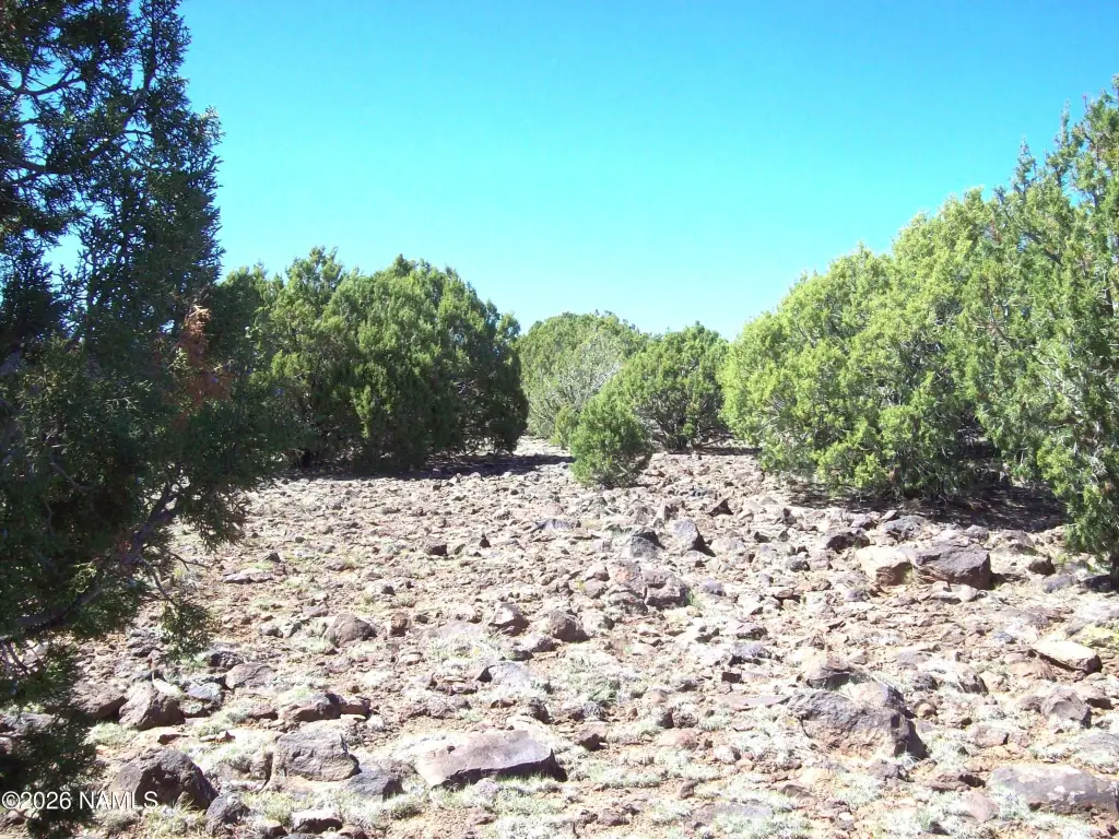 Picture 9