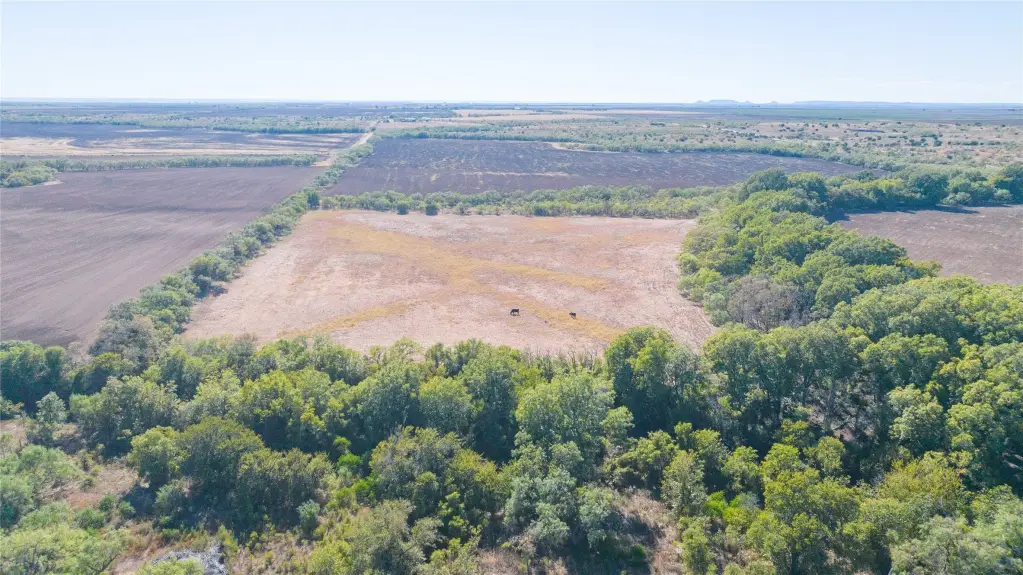 Picture 21