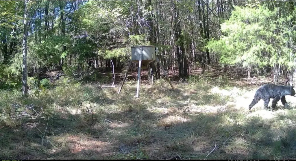 Picture 5