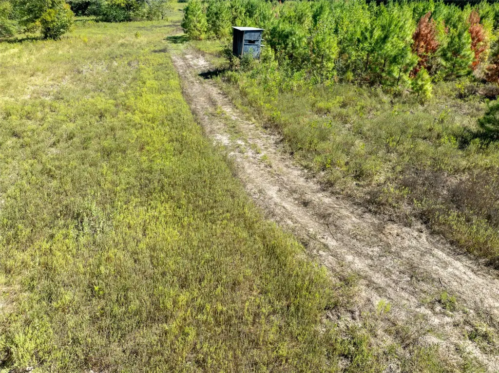 Picture 17