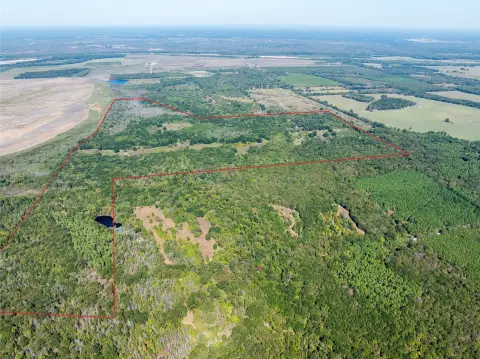 Hunting Land with Camper Sites