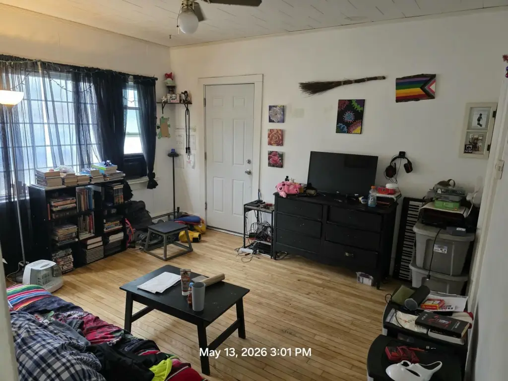 Picture 3