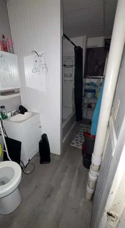 Picture 5