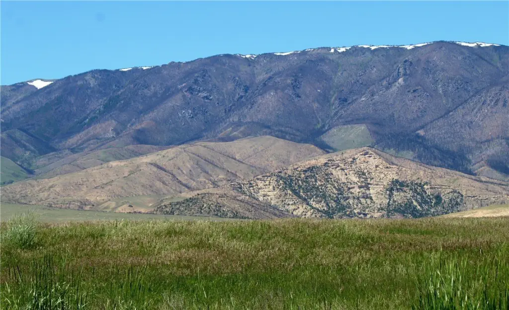 Picture 24