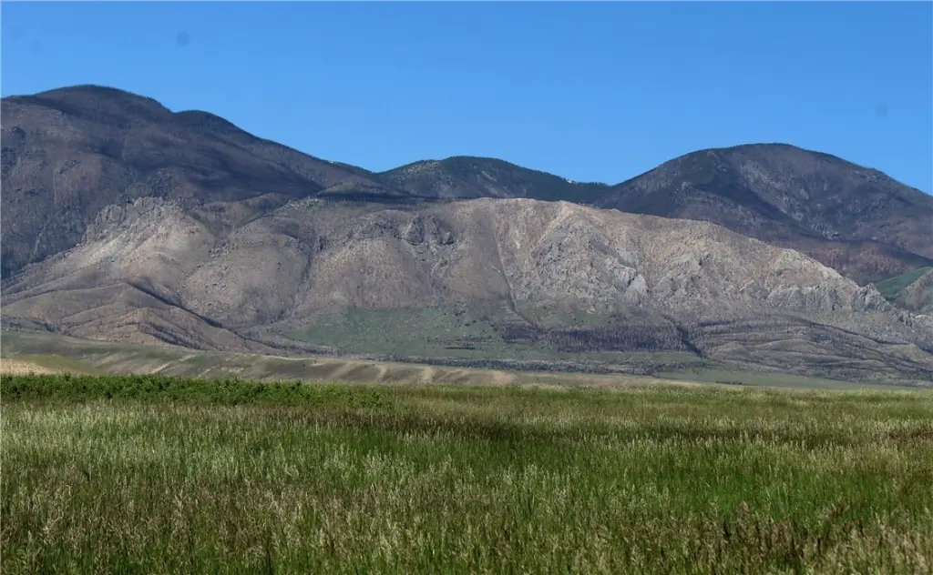 Picture 22