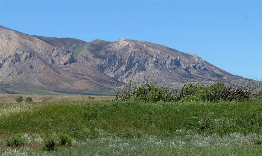 Picture 25