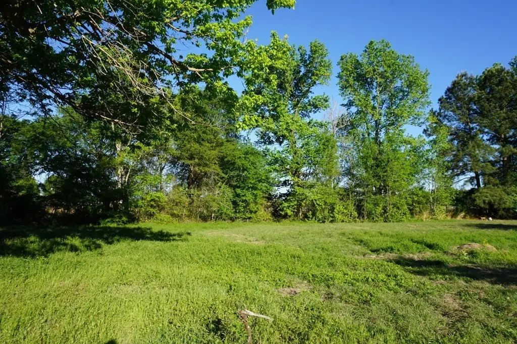 Picture 24