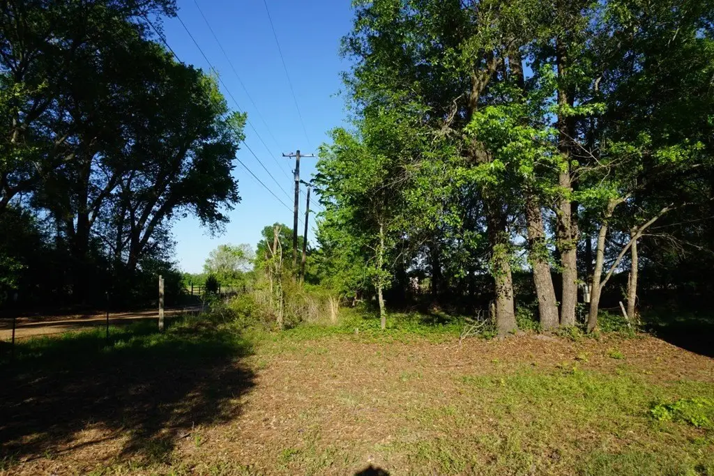 Picture 10