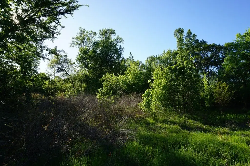 Picture 11