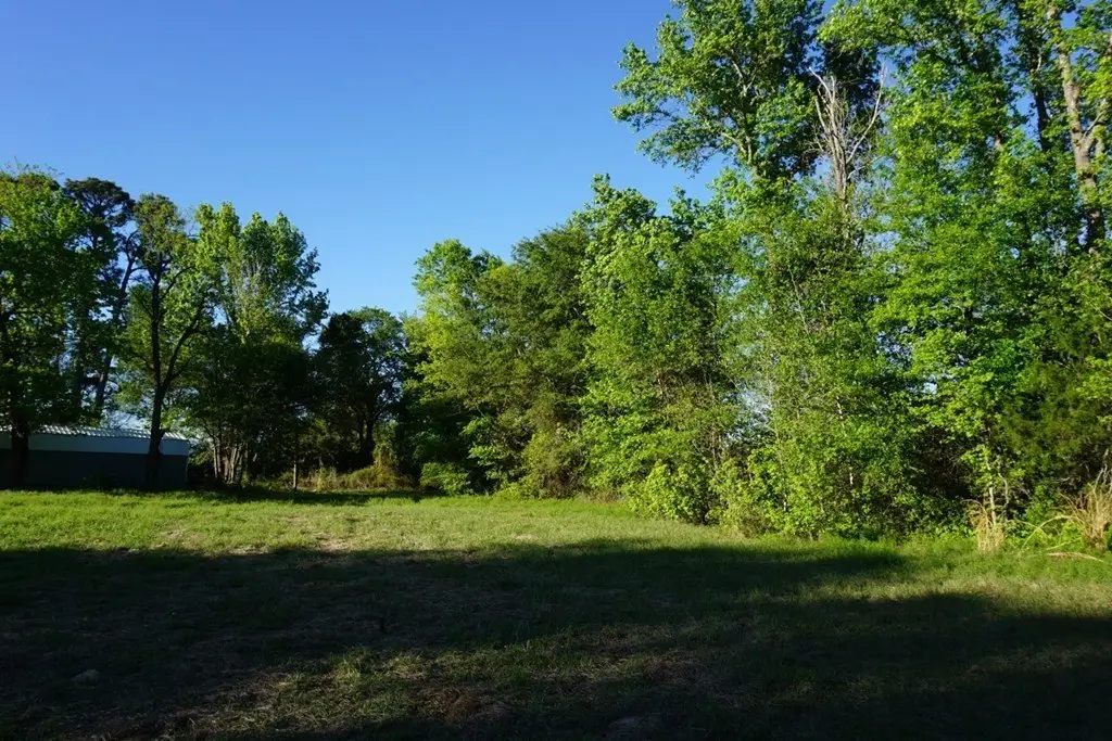 Picture 26