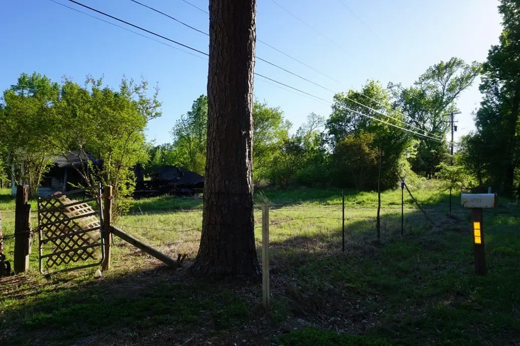 Picture 5