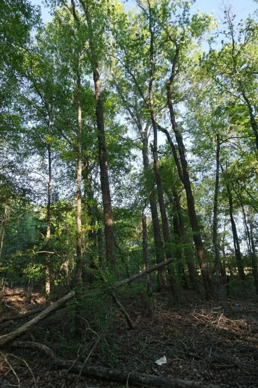 Picture 23