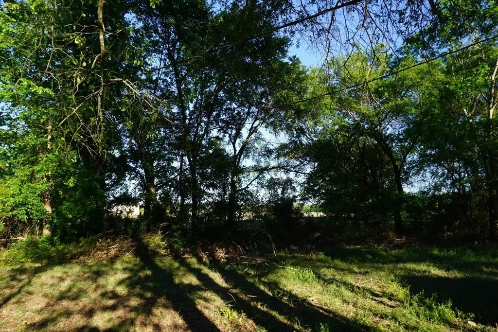 Picture 31