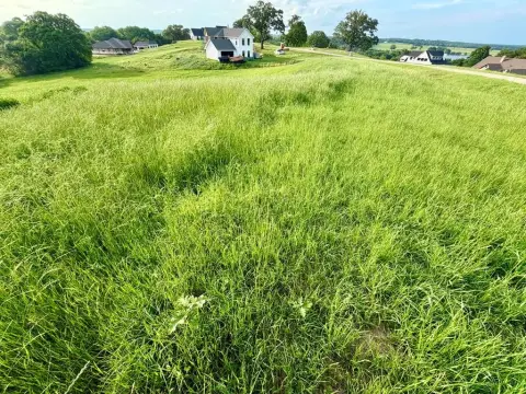 Scenic Overlook Homesite in Athens, TX