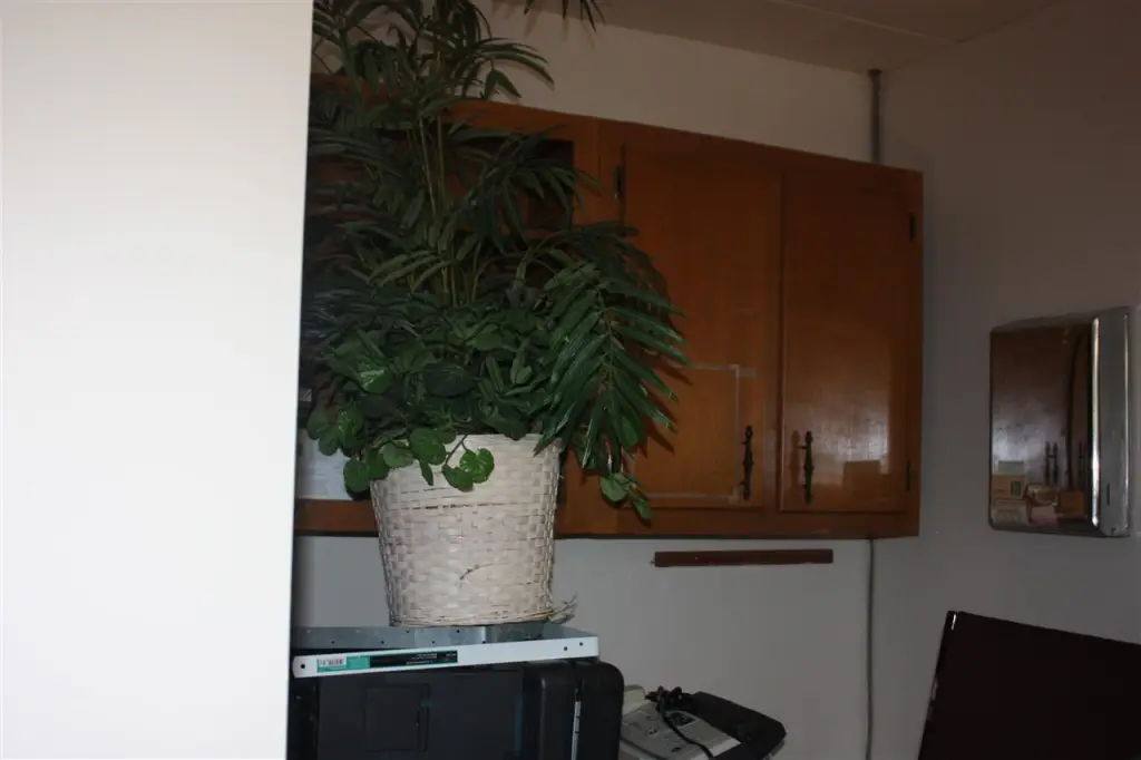 Picture 17