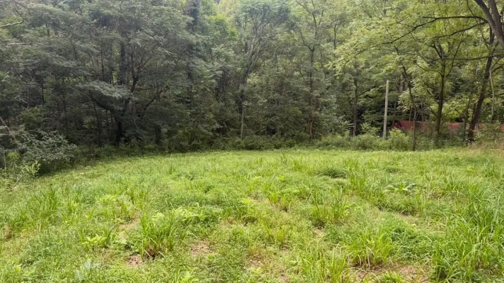 Picture 38
