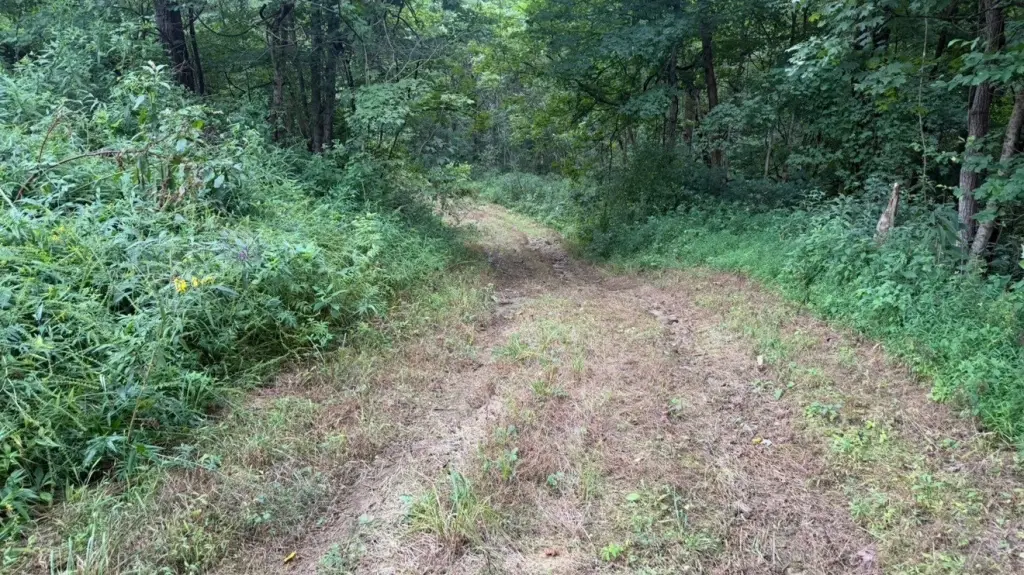 Picture 21