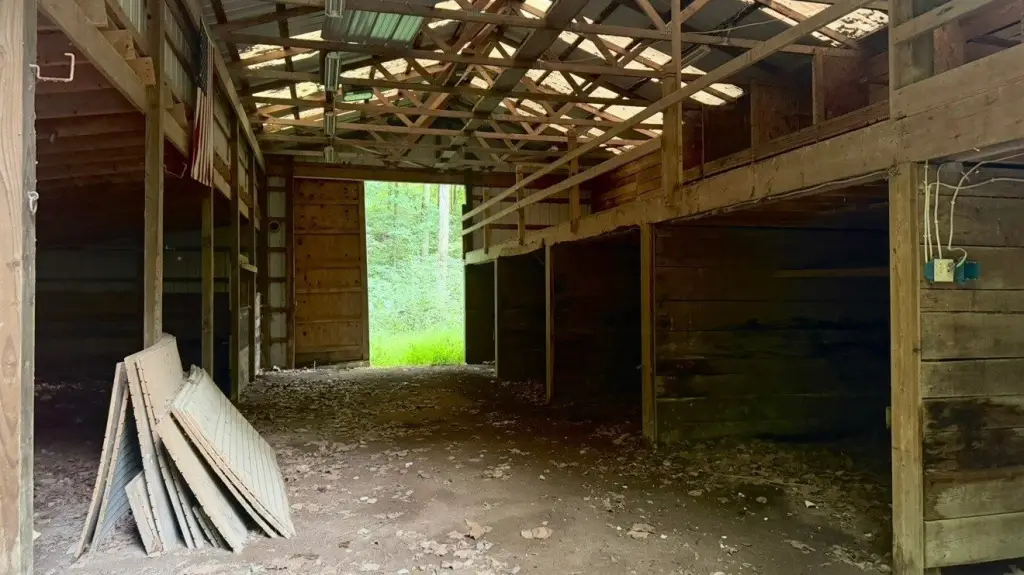 Picture 16