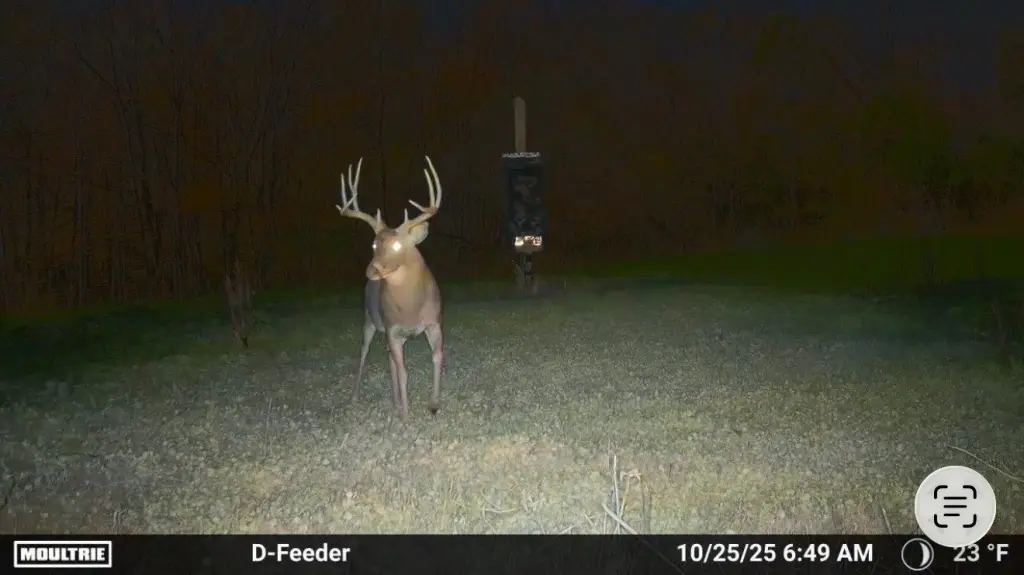 Picture 2