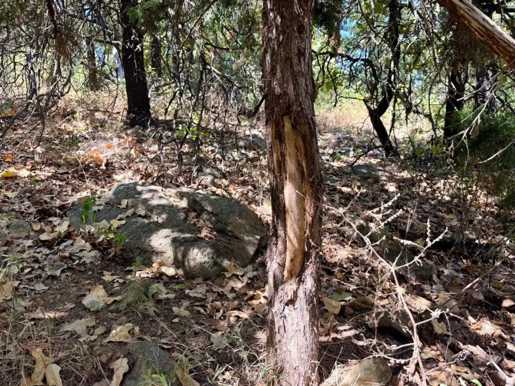 Picture 72