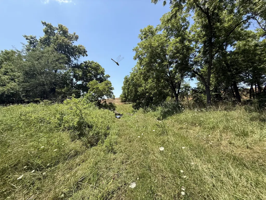 Picture 24