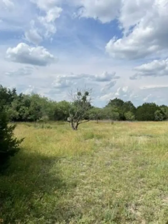 Picture 18