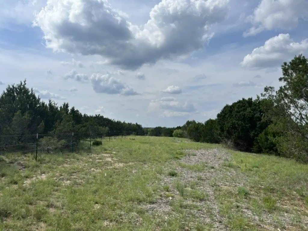 Picture 19